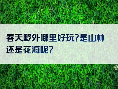 春天野外哪里好玩？是山林还是花海呢？