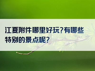 江夏附件哪里好玩？有哪些特别的景点呢？