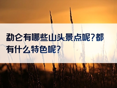 勐仑有哪些山头景点呢？都有什么特色呢？