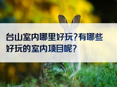 台山室内哪里好玩？有哪些好玩的室内项目呢？