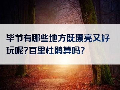 毕节有哪些地方既漂亮又好玩呢？百里杜鹃算吗？