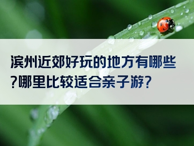 滨州近郊好玩的地方有哪些？哪里比较适合亲子游？