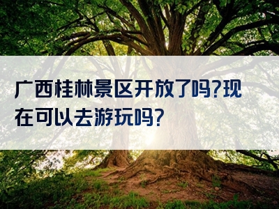 广西桂林景区开放了吗？现在可以去游玩吗？