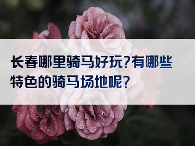 长春哪里骑马好玩？有哪些特色的骑马场地呢？