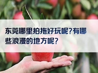 东莞哪里拍拖好玩呢？有哪些浪漫的地方呢？