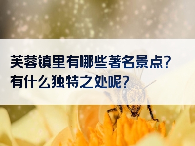 芙蓉镇里有哪些著名景点？有什么独特之处呢？