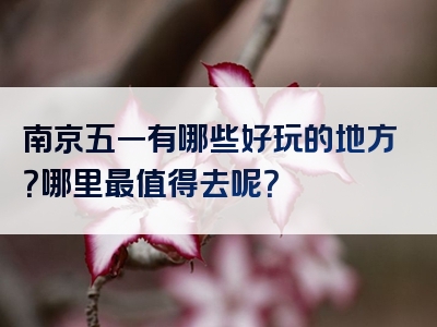 南京五一有哪些好玩的地方？哪里最值得去呢？