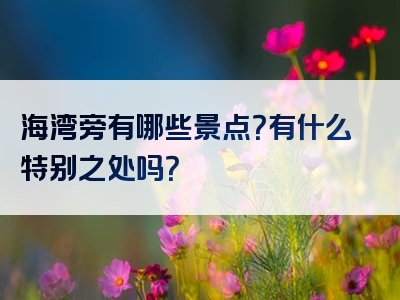 海湾旁有哪些景点？有什么特别之处吗？