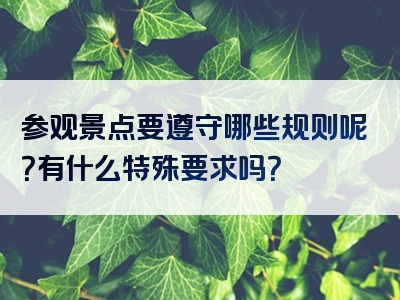 参观景点要遵守哪些规则呢？有什么特殊要求吗？