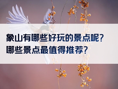 象山有哪些好玩的景点呢？哪些景点最值得推荐？