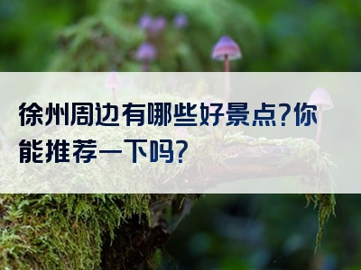 徐州周边有哪些好景点？你能推荐一下吗？