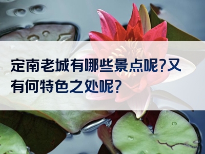 定南老城有哪些景点呢？又有何特色之处呢？