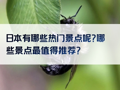 日本有哪些热门景点呢？哪些景点最值得推荐？