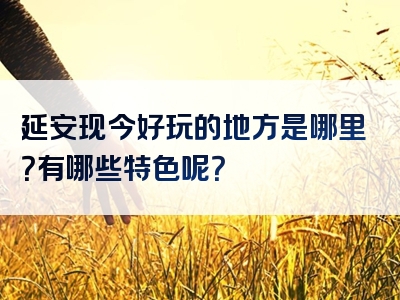 延安现今好玩的地方是哪里？有哪些特色呢？