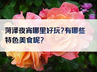 菏泽夜宵哪里好玩？有哪些特色美食呢？