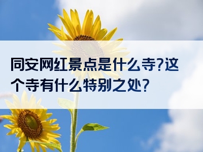 同安网红景点是什么寺？这个寺有什么特别之处？