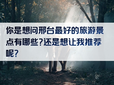 你是想问邢台最好的旅游景点有哪些？还是想让我推荐呢？