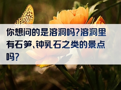 你想问的是溶洞吗？溶洞里有石笋、钟乳石之类的景点吗？