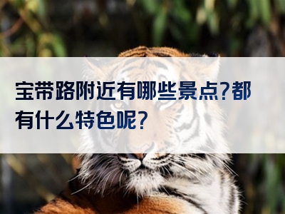 宝带路附近有哪些景点？都有什么特色呢？