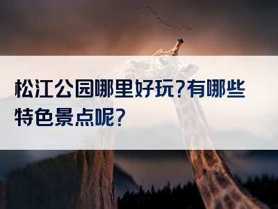 松江公园哪里好玩？有哪些特色景点呢？