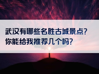 武汉有哪些名胜古城景点？你能给我推荐几个吗？