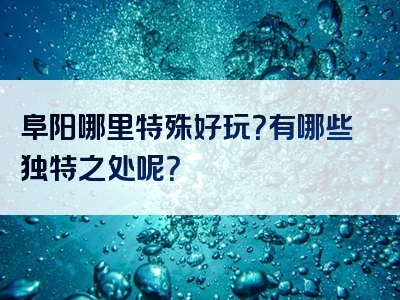 阜阳哪里特殊好玩？有哪些独特之处呢？