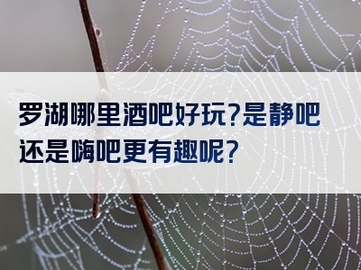 罗湖哪里酒吧好玩？是静吧还是嗨吧更有趣呢？