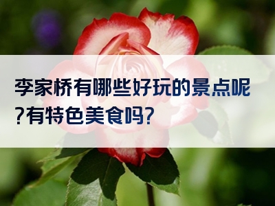 李家桥有哪些好玩的景点呢？有特色美食吗？