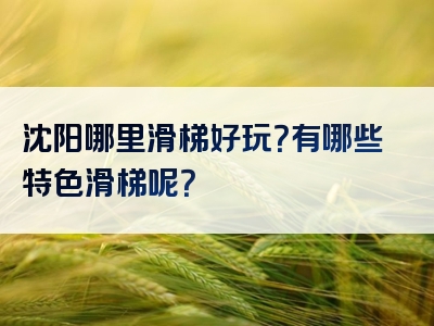 沈阳哪里滑梯好玩？有哪些特色滑梯呢？