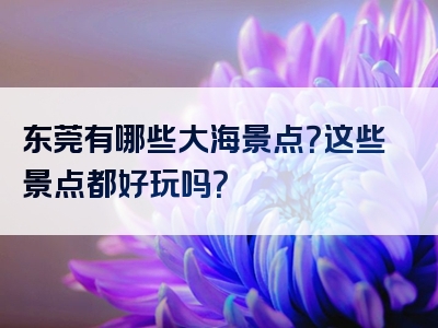 东莞有哪些大海景点？这些景点都好玩吗？