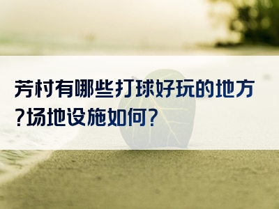 芳村有哪些打球好玩的地方？场地设施如何？
