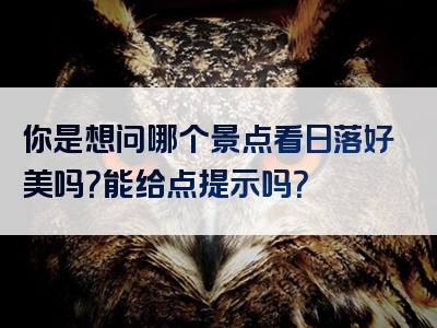 你是想问哪个景点看日落好美吗？能给点提示吗？