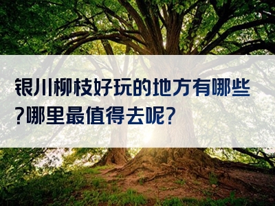 银川柳枝好玩的地方有哪些？哪里最值得去呢？