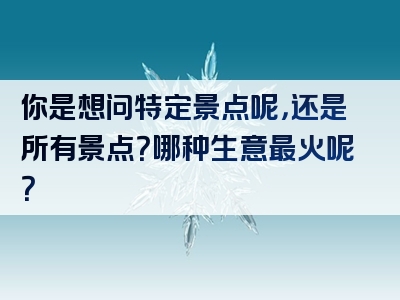 你是想问特定景点呢，还是所有景点？哪种生意最火呢？