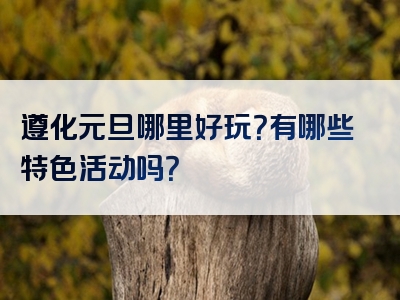 遵化元旦哪里好玩？有哪些特色活动吗？
