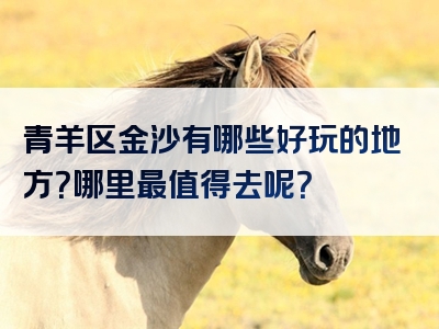 青羊区金沙有哪些好玩的地方？哪里最值得去呢？