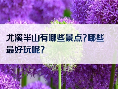 尤溪半山有哪些景点？哪些最好玩呢？