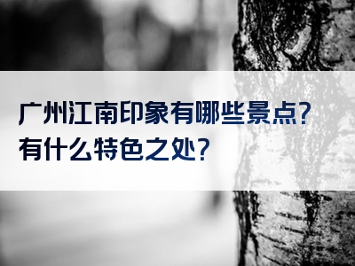 广州江南印象有哪些景点？有什么特色之处？