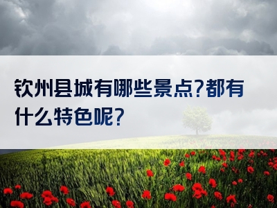 钦州县城有哪些景点？都有什么特色呢？