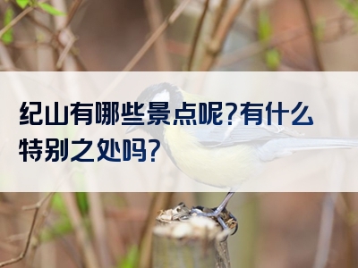 纪山有哪些景点呢？有什么特别之处吗？