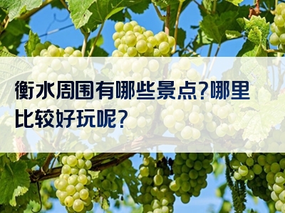 衡水周围有哪些景点？哪里比较好玩呢？
