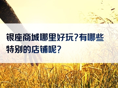 银座商城哪里好玩？有哪些特别的店铺呢？