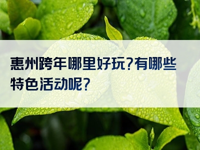 惠州跨年哪里好玩？有哪些特色活动呢？