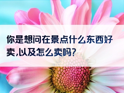 你是想问在景点什么东西好卖，以及怎么卖吗？