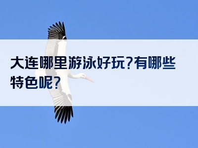 大连哪里游泳好玩？有哪些特色呢？