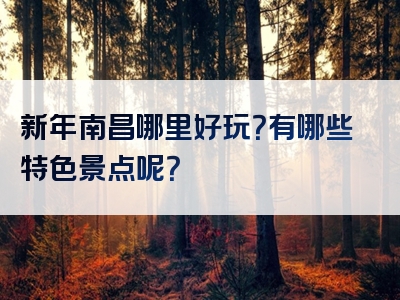 新年南昌哪里好玩？有哪些特色景点呢？