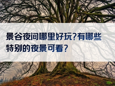 景谷夜间哪里好玩？有哪些特别的夜景可看？