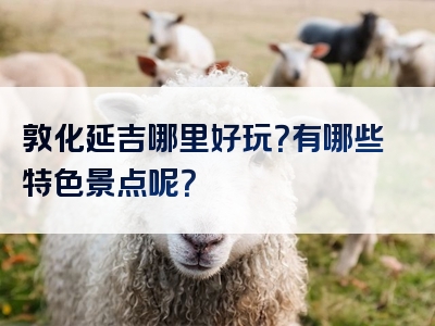 敦化延吉哪里好玩？有哪些特色景点呢？