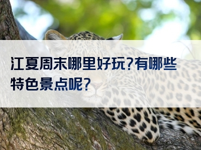 江夏周末哪里好玩？有哪些特色景点呢？
