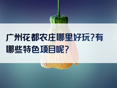 广州花都农庄哪里好玩？有哪些特色项目呢？